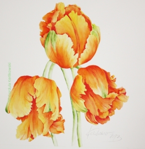 "Französische Tulpen", Aquarell auf Hahnemühle Bütten 300 g/m² (rau), 34 x 34cm, (c) Cordula Kerlikowski
